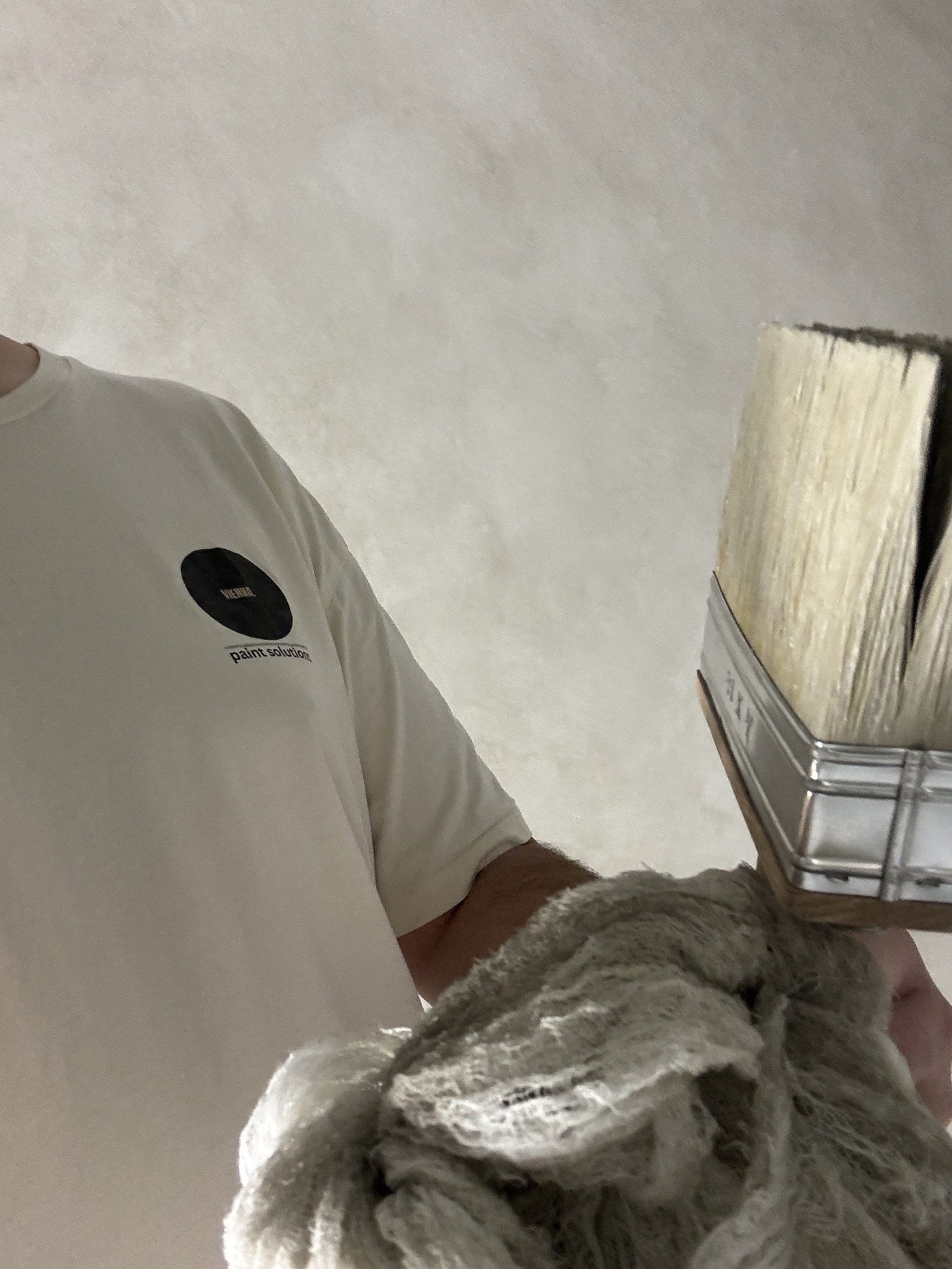 Vienna painter in branded shirt holding a finishing brush